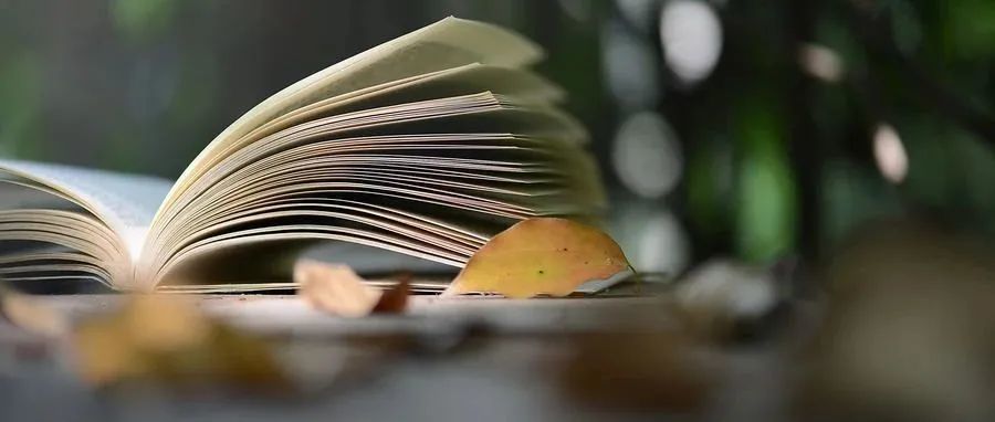 成长笔记:关于认知升级