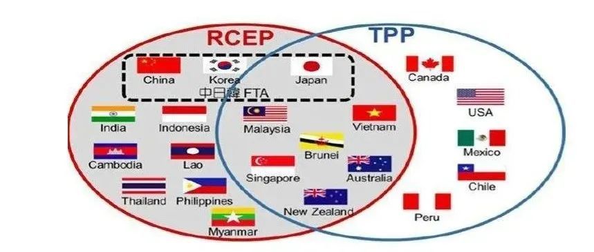 RCEP即将生效，中日贸易将迎来历史性发展机遇！