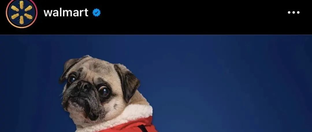 删前收藏！大卖沃尔玛店铺数据全面曝光