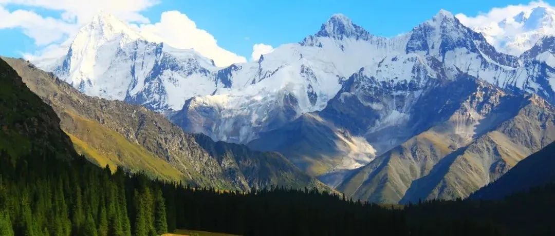 2022年，亚马逊，稳定就好