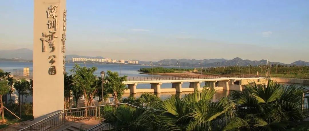 没有R标也可以赶跟卖了？一位卖家的成功经验分享