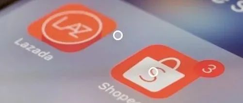 明年打算all in 本土