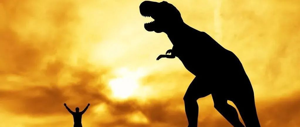 2022跨境电商会有一个结局，也孕育了很多开始！