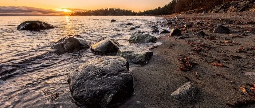 过年，我不是深圳人