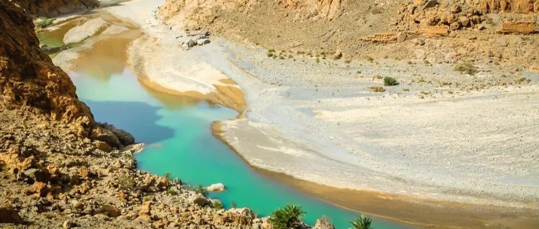 做亚马逊，靠“学”是学不会的