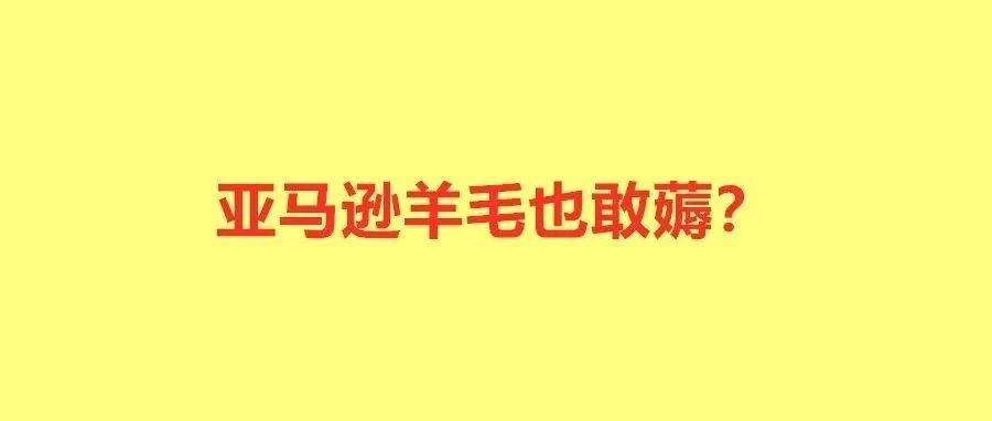 卖家骗取亚马逊500万被告！还有人套现第三方支付公司上千万