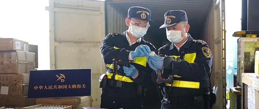 海关严打侵权！这些产品出口被查获