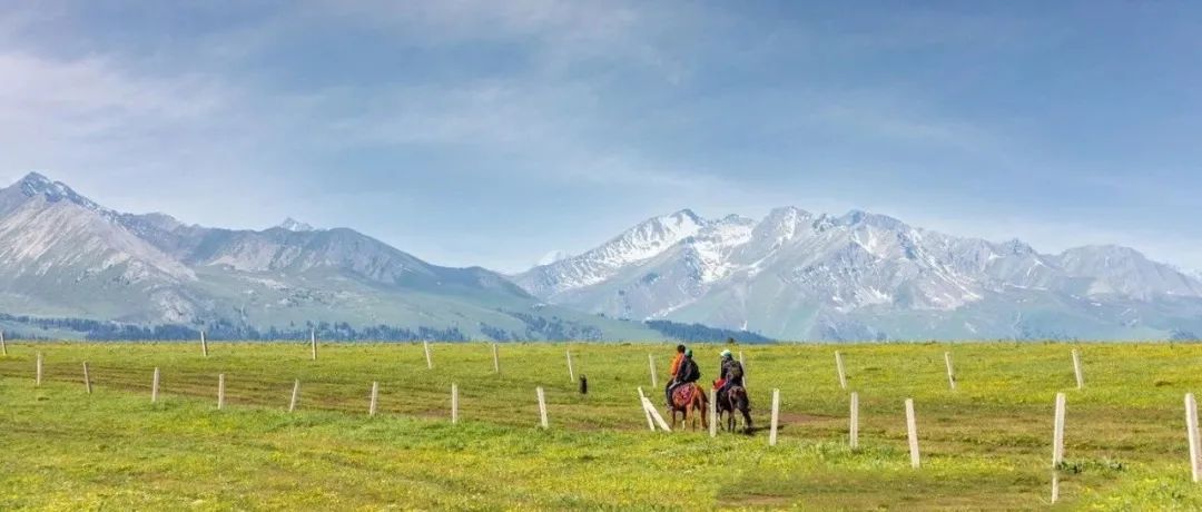 亚马逊选品分析-婴儿后视镜