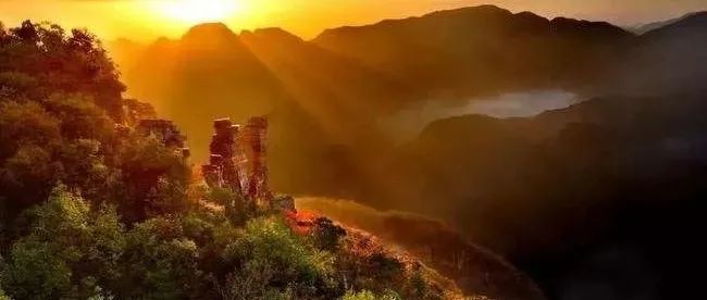 从一次翻车式选品联想到的一种运营模式