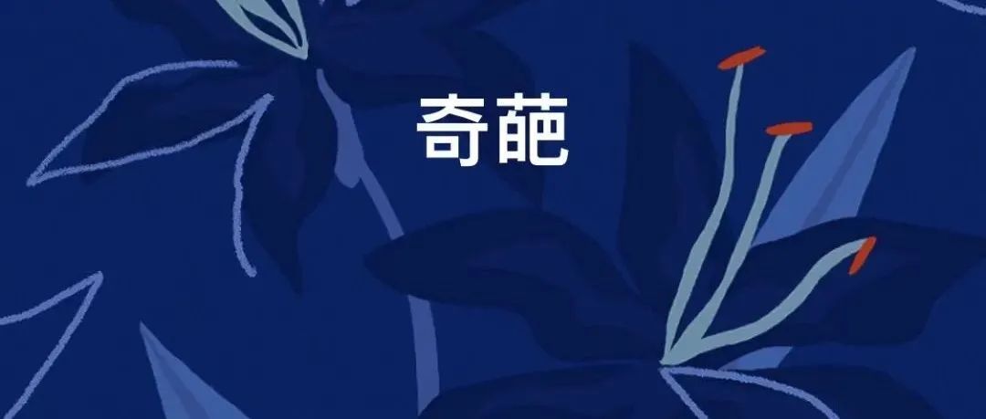 运营跳槽被羞辱 老板：我让你在跨境圈混不下去