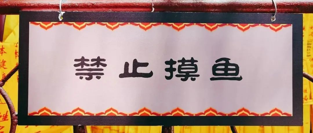 别再摸鱼了！！亚马逊运营每天必须要做哪些事情