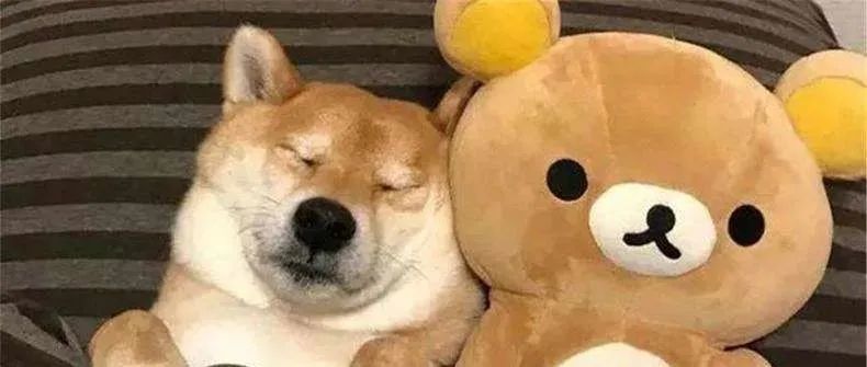 我钱不多，能做亚马逊吗？