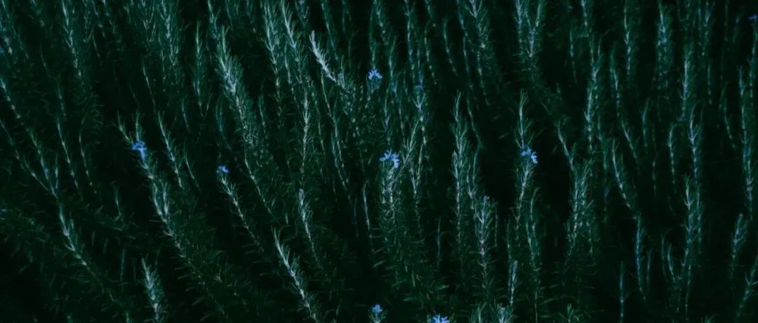 聊聊亚马逊运营面试这些事！求职避坑必看！