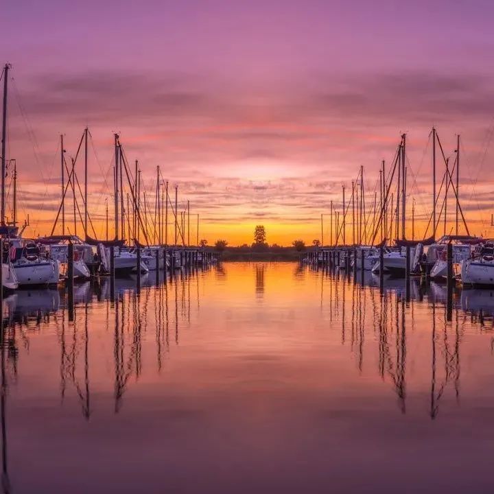 港口犹如打地鼠：美西不堵，美东堵！
