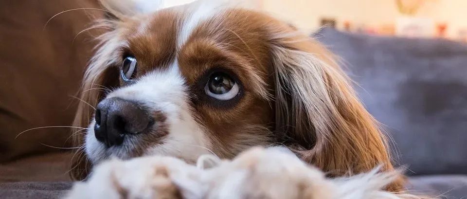 站外推广爆单后被警告、封号，如何做无罪申诉？