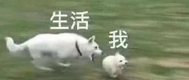 5W成本获得200万转发，这数据真香