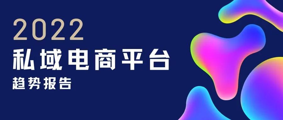 2022私域电商平台趋势报告