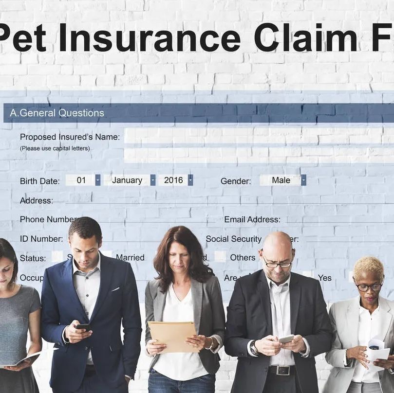 亚马逊卖家责任险投保过审（保姆级教程）