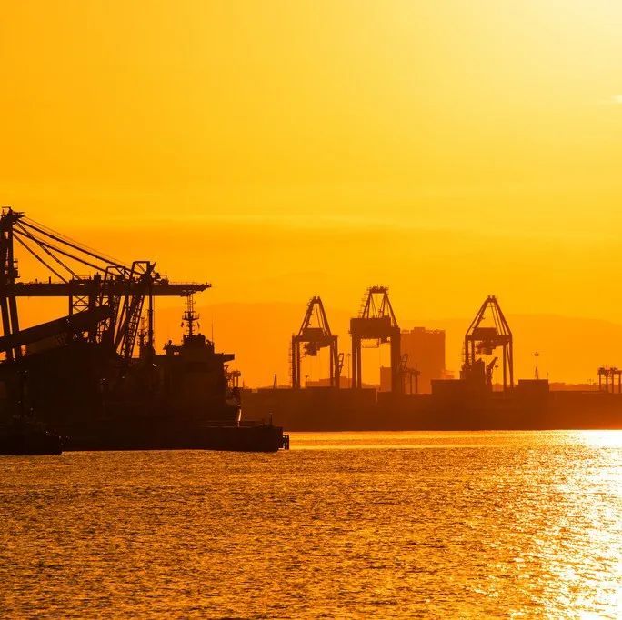 普货“杀手”！这类货物绝不能瞒报！