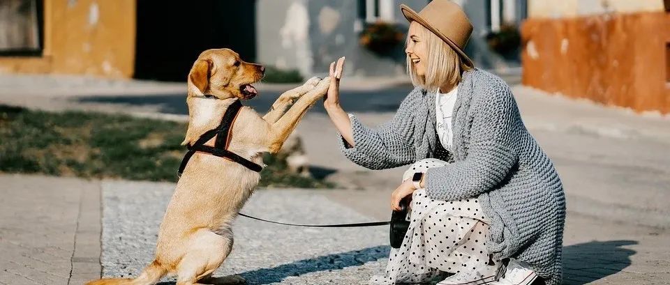 增速惊人，评论突破120000！热销第一单品竟然是这个...