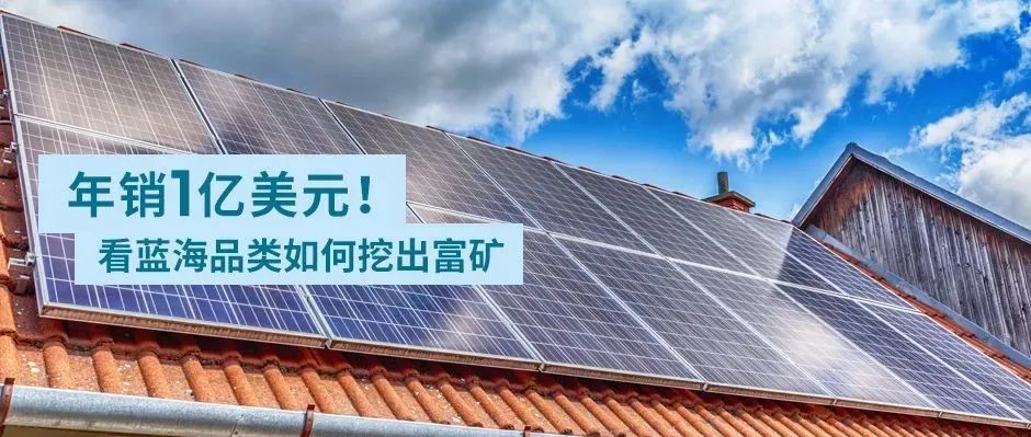 他深耕蓝海类目，年销高达1亿美金，排名稳居欧美前三！