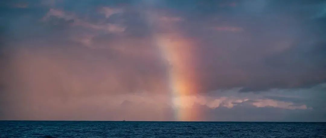 航海日志第33天 | TikTok直播 露脸还是不露脸，这是个问题