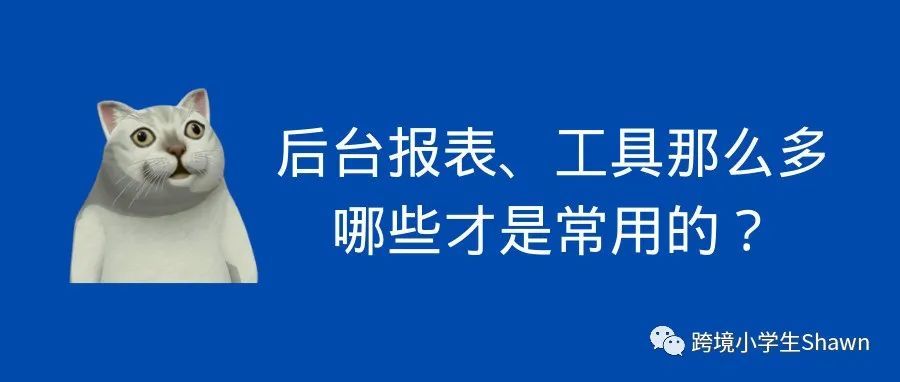 系统梳理重要的亚马逊后台报告和工具