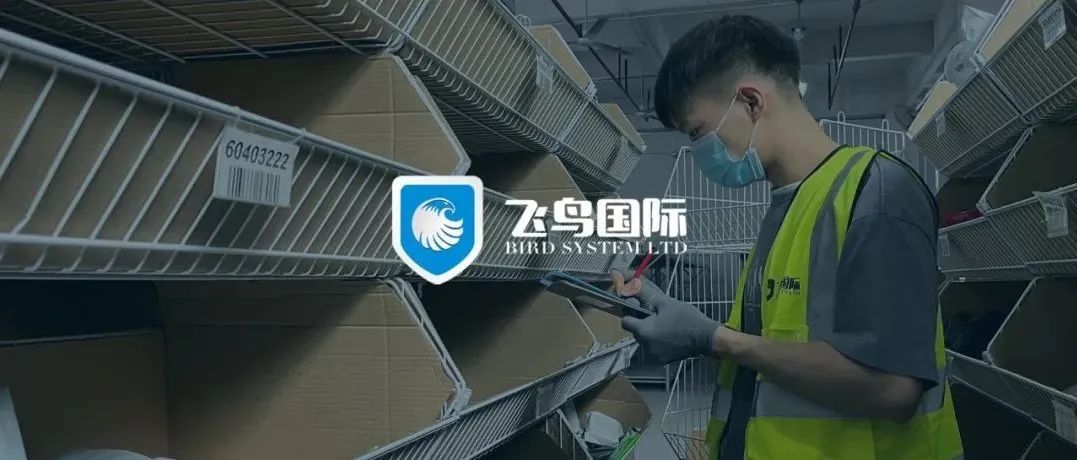 背靠中国供应链，直发物流服务成为跨境电商新选择