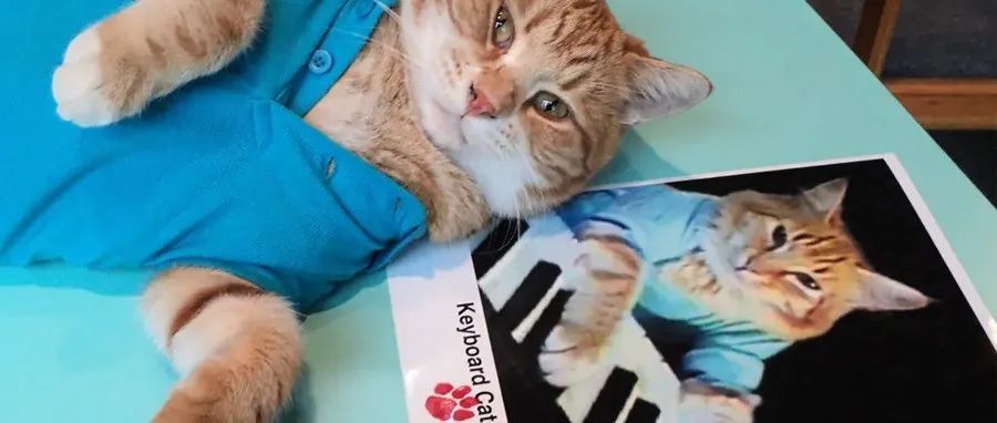 新品牌！键盘猫KEYBOARD CAT维权，涉及商标&amp;版权