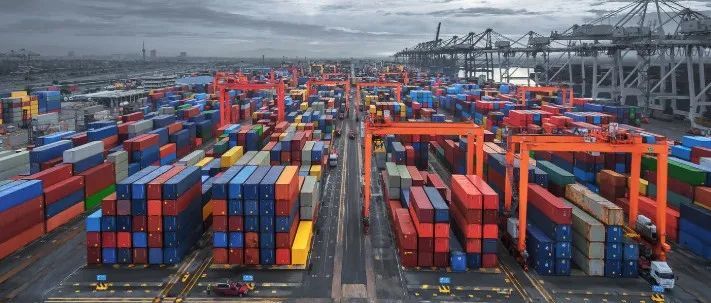 低价揽收货再出新套路！货代低连报瞒报！致上百个货柜被海关查扣损失1100万，大量客户被牵扯......