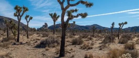 亚马逊大卖对Review权重的理解