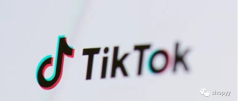 独立站携手TikTok，打造独立站新流量节点