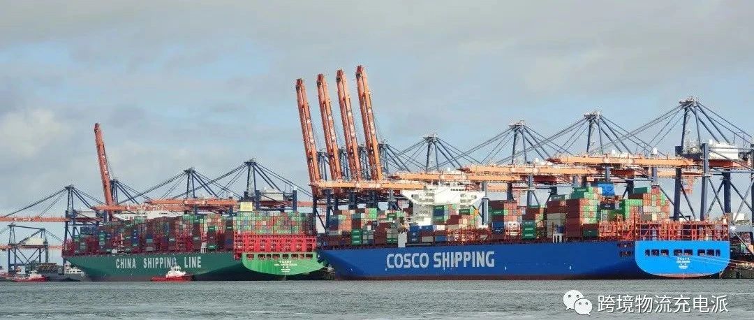 【国际海派】Vin Gor 剖析海运整柜涉及的费用（上篇）：门到港环节