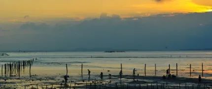 快来看，教你在亚马逊前台页面查询广告位