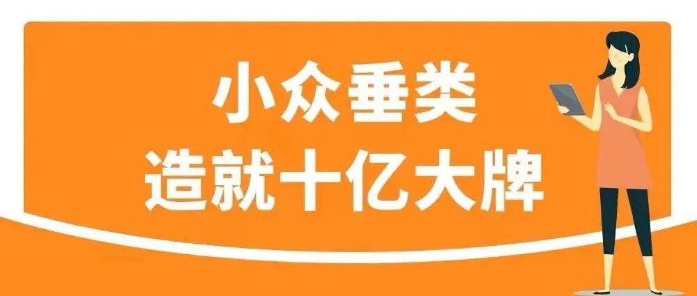 年销额高达10亿！小众产品也能逆风翻盘！亚马逊汽配卖家如何一路做大做强？