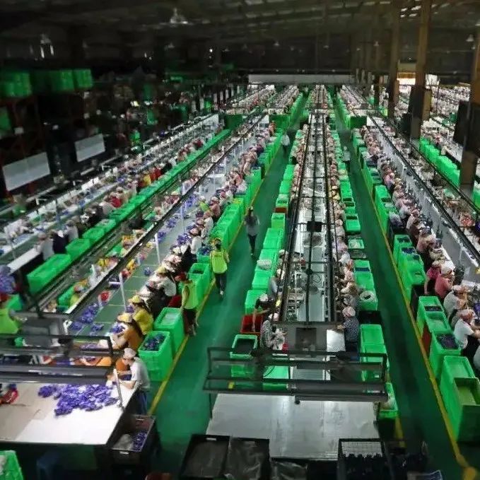 抢订单、引外资、降关税！东南亚订单已经排到了三季度末！中国制造业陷入困境？