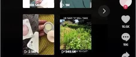 什么是 TikTok 直播购物， TikTok 商店增加销售额的技巧