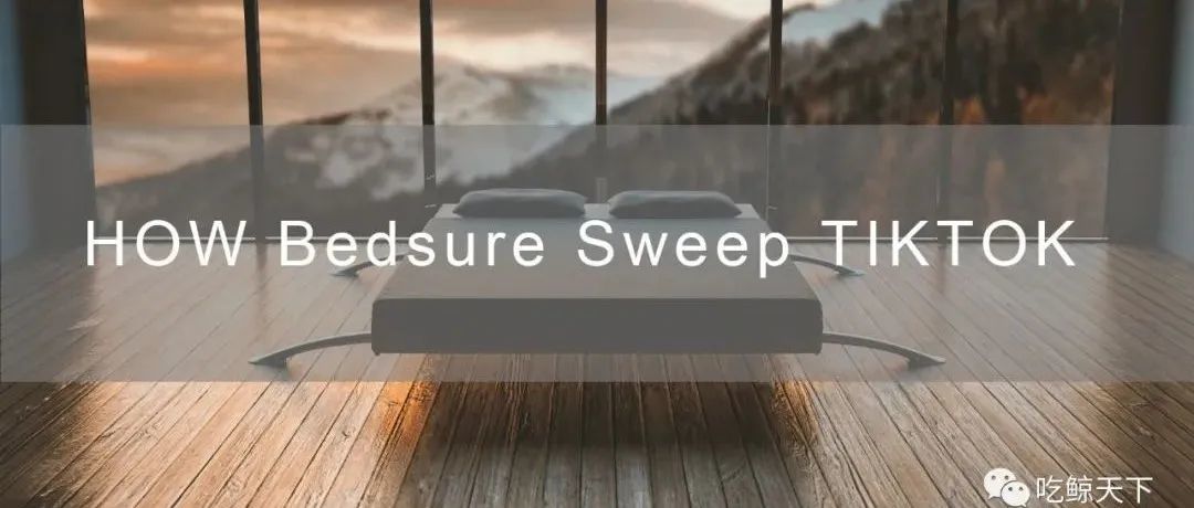 黑五销量榜TOP1! 中国家纺品牌Bedsure玩转TIKTOK解析