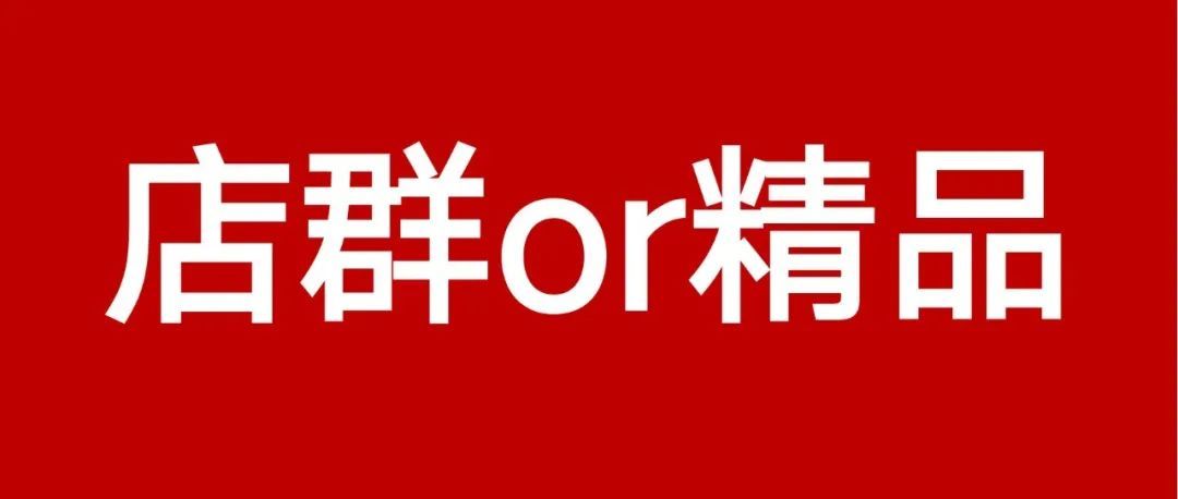 店群VS精品？跨境电商卖家该如何选择？