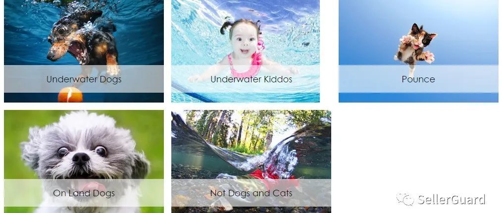 注意！这些狗狗的图案不能用了！Keith新代理版权照片速看！