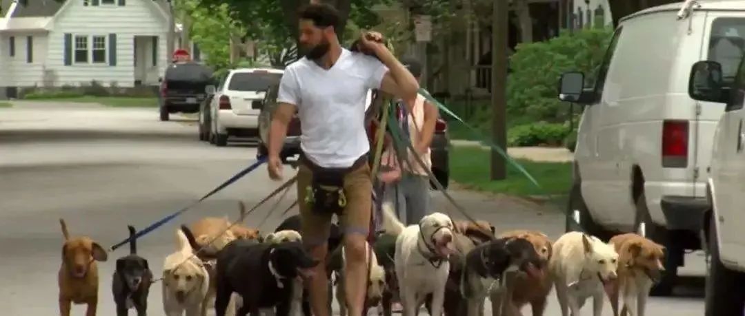 下个"万亿级"市场！这家宠物黑马已融资数亿，卖家抓紧了!