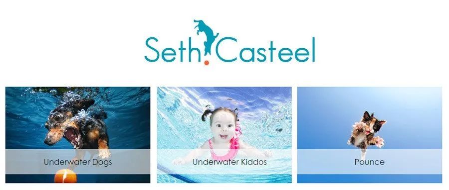 [22-3914、3892、3856]Keith代理摄影师Seth Casteel发案！尚未提起TRO动议