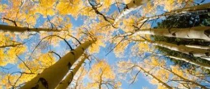 亚马逊精细化运营的“三要点”