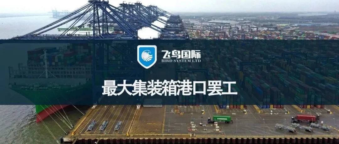 突发！英国最大集装箱港口将进行为期8天大罢工