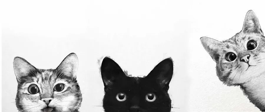 Laura Graves笔下的小动物，美国版权侵权已起诉！