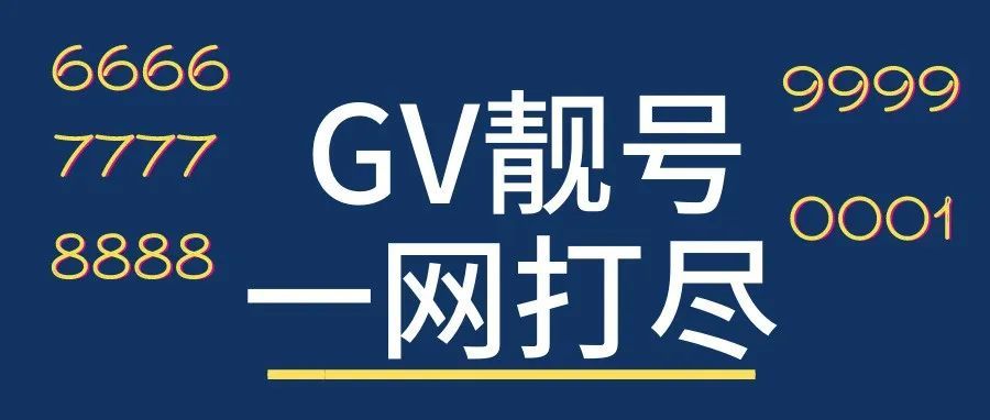 【新手0-1】如何获得一个GV靓号？