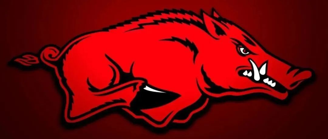 劲量电池（Energizer）、阿肯色大学野猪商标，双双发案