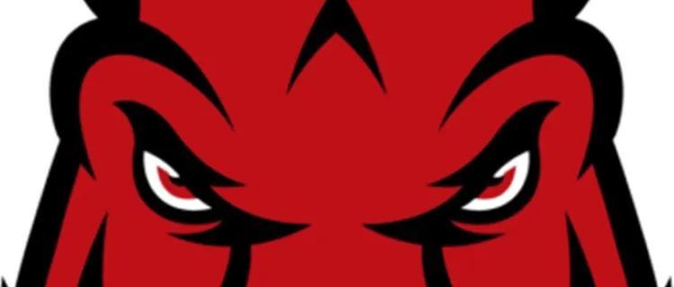 立即下架！注意ARKANSAS RAZORBACKS的红色野猪商标！Keith律所发案维权，已向专利商标局邮寄商标报告！