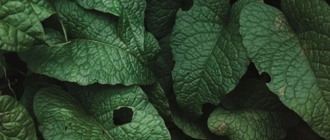 新品如果做站外推广，如何设置合适的折扣力度以及如何控制流量和转化？