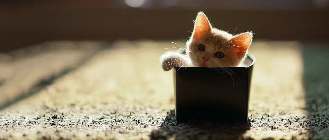 Etsy退货政策重大更新